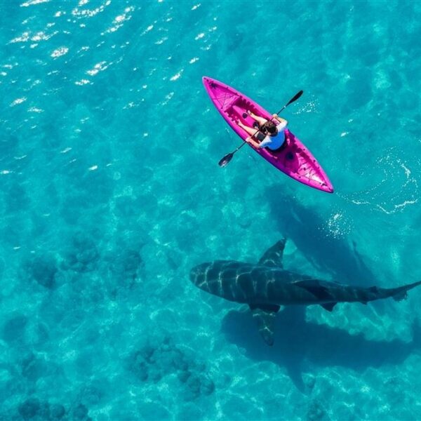 Ransomware Reality Check: Why MSPs Can’t Afford to Stand Still 