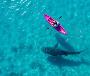 Navigating the Cybersecurity Market as an MSP: 2026 Edition