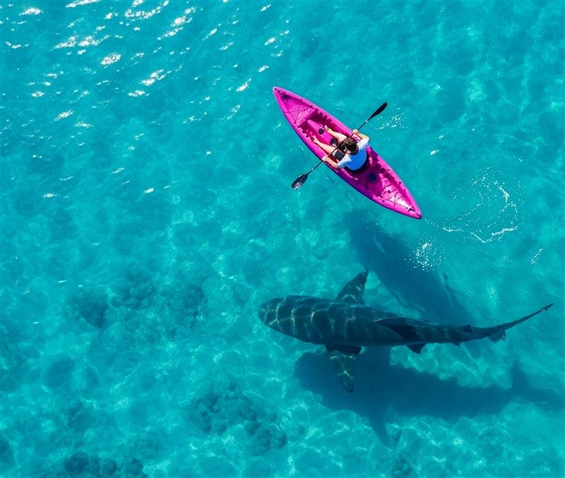 Navigating the Cybersecurity Market as an MSP: 2026 Edition