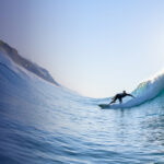 Industry Update 2026