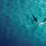 Navigating the Cybersecurity Market as an MSP in 2026 