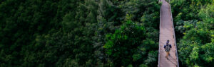 Recon